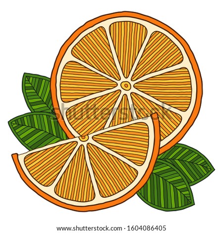 Orange. Doodle detailed illustration. Isolated. For greeting cards, printing on t-shirts.