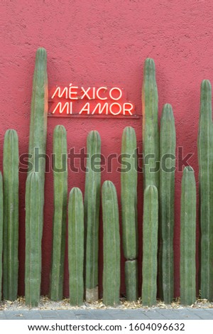 
Wall adorned with huge cactus and neon sign where "Mexico my love" is located on the Polanco street in Mexico City