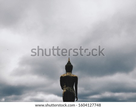 The Buddha Statue of Nan province .