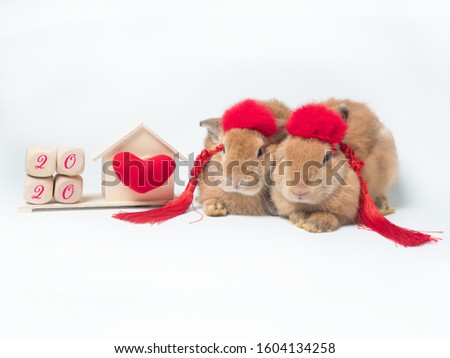 Two cute little brown bunny rabbits with hair accessories sitting next to wooden house, red heart and 4 blocks on white background. Chinese New Year, New beginning, greeting card concept.