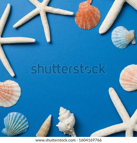Colorful summer marine decoration. Shellfish and starfish on blue background