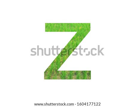 Stencil green font letter Z made of paddy field green on white background with paper cut shape of letters. letter printed on paper