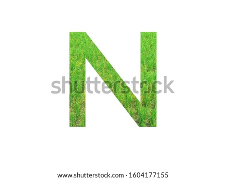 Stencil green font letter N made of paddy field green on white background with paper cut shape of letters. letter printed on paper