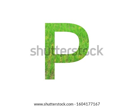 Stencil green font letter P made of paddy field green on white background with paper cut shape of letters. letter printed on paper