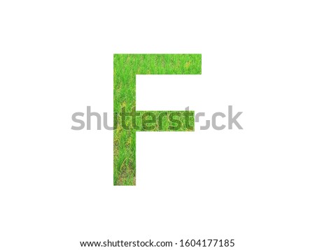 Stencil green font letter F made of paddy field green on white background with paper cut shape of letters. letter printed on paper