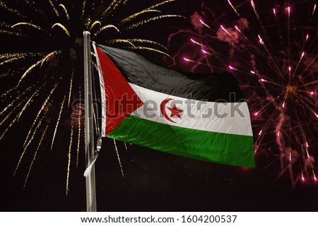 Western Sahara flag blowing in the wind at night