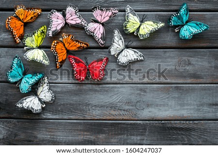 Multicolored tropical butterflies on dark wooden background top-down frame copy space
