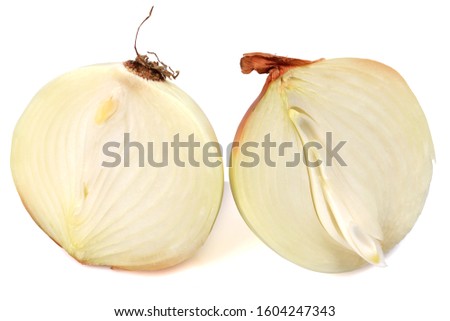 Onion Isolated on White Background