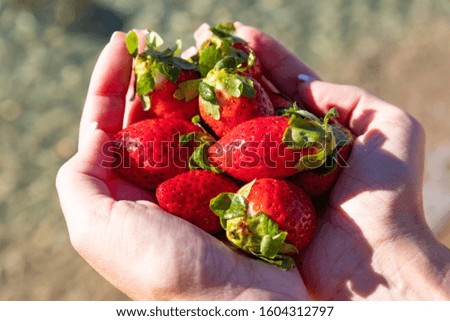 strawberries on the background of the sea