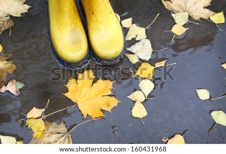 Feet in yellow rubber boots standing in a puddle, where fallen leaves float Royalty-Free Stock Photo #160431968