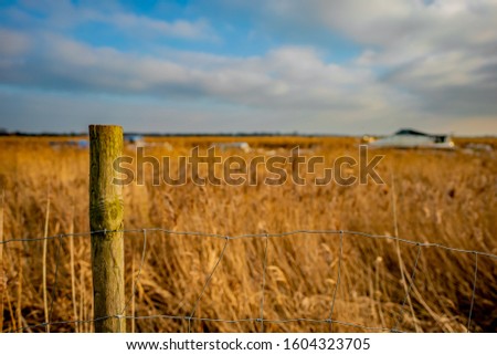  Selective focus and close up of wooden fence post with the reeds, river and moored boats in soft focus in the distance