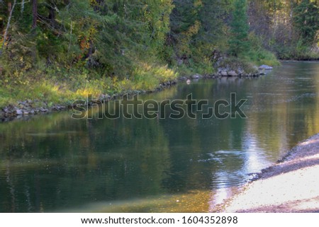 river Earring in the Park Deer streams
