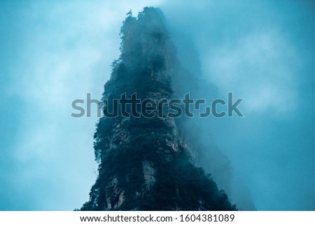 Amazing landscape of mountain and forest in the foggy at Wulingyuan, Hunan, China. Wulingyuan Scenic and Historic Interest Area which was designated a UNESCO World Heritage Site in China 