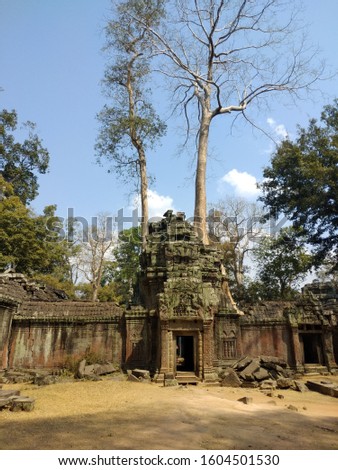 Travel concept. Beautiful view of ancient mysterious ruin in amazing Angkor, Siem Reap, Cambodia. Angkor is a popular tourist attraction. Artistic picture. Beauty world.