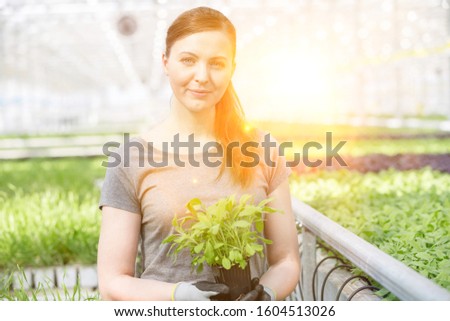 Female botanist holding seedling in plant nursery