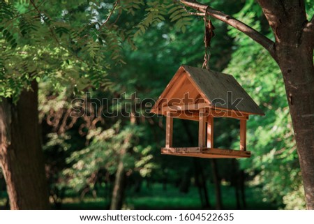 hand made wooden cabin for feeding birds hanging on a tree branches in spring time, blurred unfocused park background, animal care theme wallpaper pattern concept picture