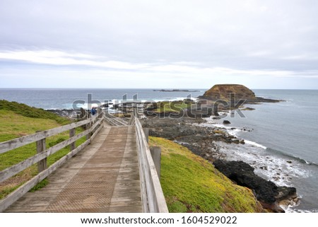 Phillip Island is an Australian island about 140 km southeast of Melbourne, Victoria. It is home to many species of birds, fairy penguins, short-tailed shearwaters, Pacific gulls and fur seals.