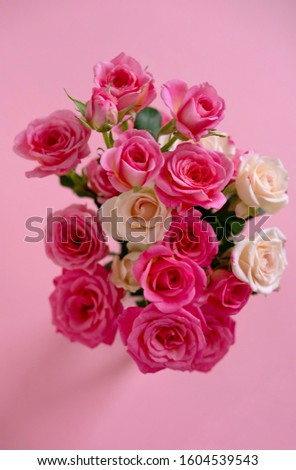 Floral composition with a pink roses on pink background. Valentine's Day background. Top view. Royalty-Free Stock Photo #1604539543