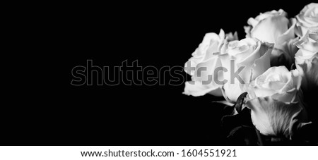 Bouquet of beautiful yellow roses close up on dark background. Abstract backdrop for seasonal cards, posters, blogs and web design. Romantic and love concept. Copy space. Balck and white