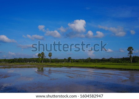 Blue sky and moving clouds reflection on the farms