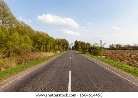 paved road along trees and forests with fields
