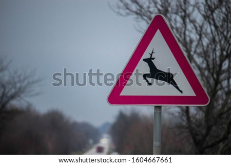 Beware of deer crossing the road sign. Triangle sign in white and red background.