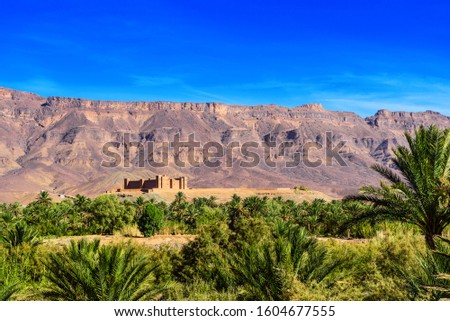 Mountain landscape, Oasis of the Draa Valley, Morocco. Copy space for text 