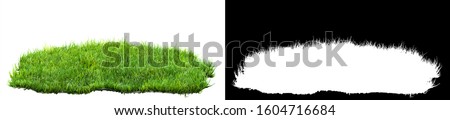 green grass isolated on white background with alpha mask for easy isolation 3D illustration
