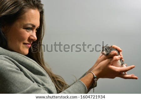 A beautiful young girl with long hair, a brunette in a gray sweater with a hood, is holding a gray mouse in her hands, gray background is a place for text ....