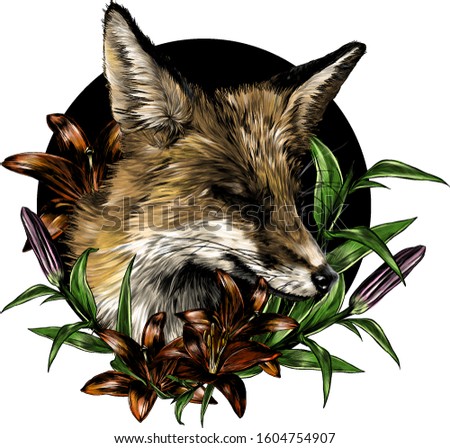 sly Fox face with closed eyes looks away squinting from the sun round composition decorated with flowers and Lily leaves, sketch vector illustration in graphic style on a white background