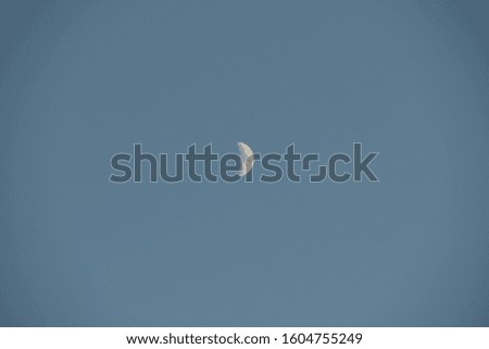 the moon in the spanish sky, Alicante Province, Costa Blanca, Spain, January 2, 2020