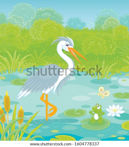 Big grey and white heron and a small green frog on a small lake among cane, grass and bushes of a summer meadow, vector cartoon illustration