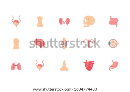 icon set design, Human body person people health anatomy biology and science theme Vector illustration