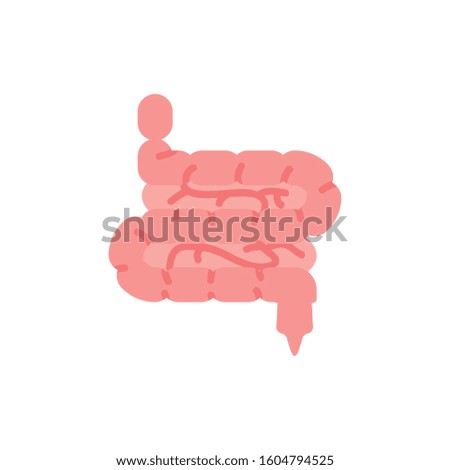 intestines icon design, Human body person people health anatomy biology and science theme Vector illustration