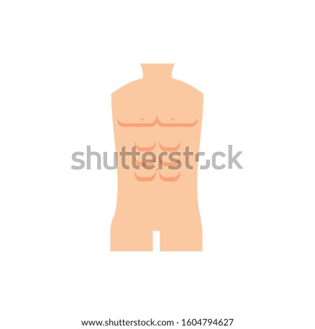male trunk icon design, Human body person people health anatomy biology and science theme Vector illustration