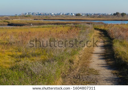 Nature Trail in Galveston Island State Park with Wetlands FG and Galveston City BG Royalty-Free Stock Photo #1604807311