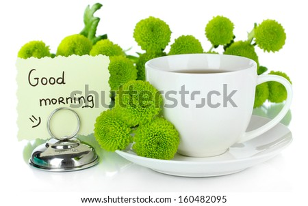 Beautiful green chrysanthemum with cup of tea isolated on white