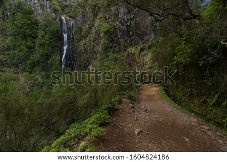 Waterfall at a levada trekking in madeira, background picture