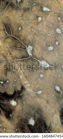Alzheimer's, vertical abstract photography of the deserts of Africa from the air, aerial view of desert landscapes, Genre: Abstract Naturalism, from the abstract to the figurative, 