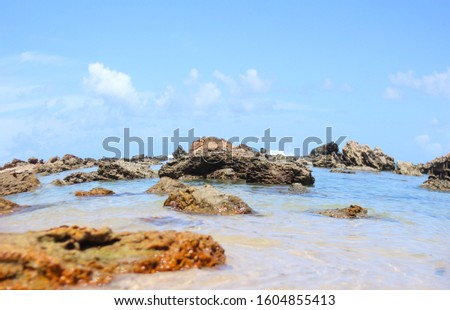 
Beach displaying several rocks within a blue sea. At the top of the picture a blue sky too.