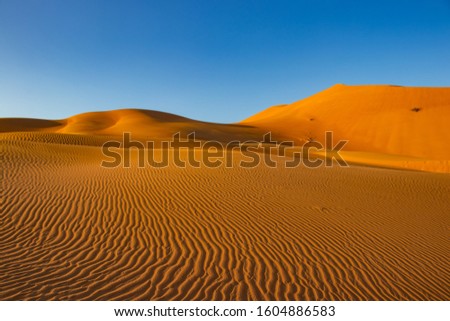 Dunes in Rub al Khali (empty quarter) Royalty-Free Stock Photo #1604886583