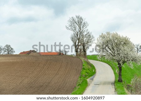 Spring countryside hilly landscape with blooming trees, a plowed field, green grass, rural road, farm against the blue sky. Spring in the Netherlands province of Limburg.