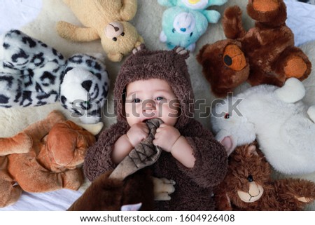 Adorable baby boy wearing brown teddy bear costume lying next to many animal doll biting toy top view. Cute mixed race Asian-German kid winter season Royalty-Free Stock Photo #1604926408