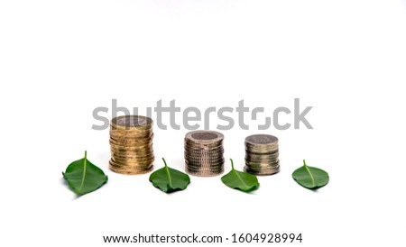 coins and green leaves lined up in a row. choice of nature and money