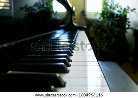 Piano keys indoor room background 