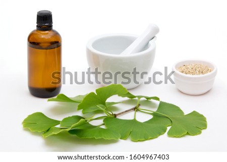 fresh ginkgo leaves and dried herb with mortar and pestle and brown bottle on white background