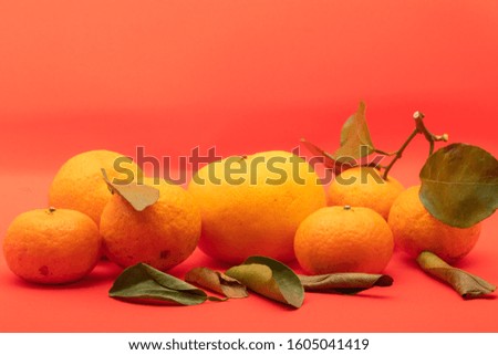 concept image of mandarin orange with red background for  the chinese new year celebration