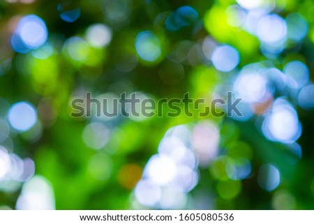 Green bokeh on nature defocus abstract blur background