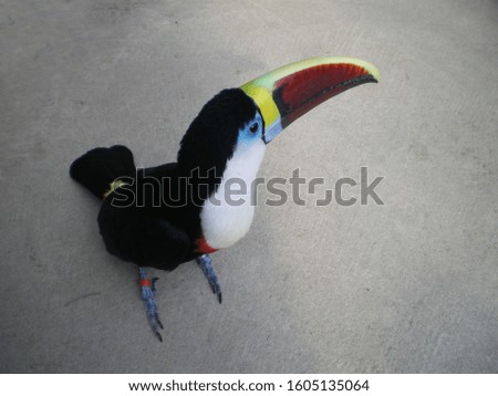 Wild bird Silomne Toucan
 photo