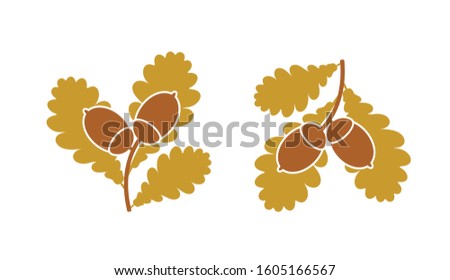 Oak leaf and acorns. Isolated oak on white background